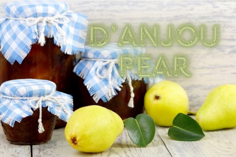 Step-by-Step Instructions for Making D’Anjou Pear Jam