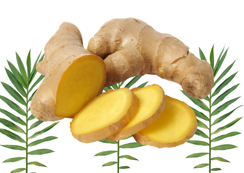 Ginger root