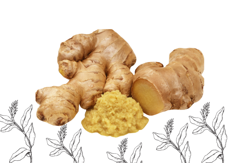 Ginger root