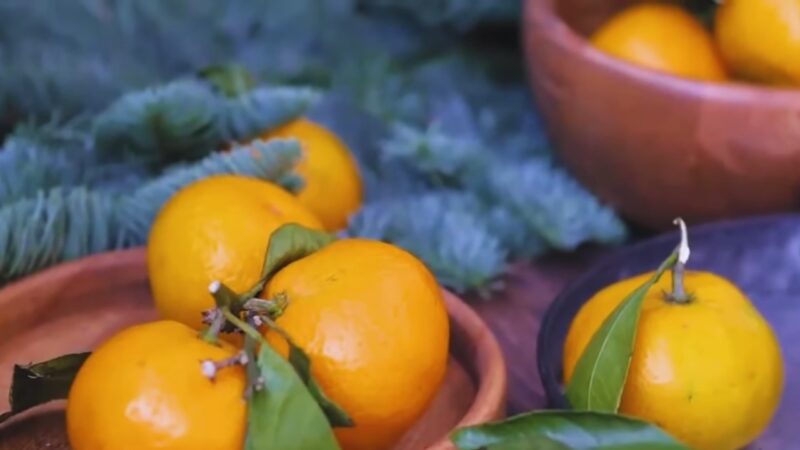 Tangerines' Taste and Texture