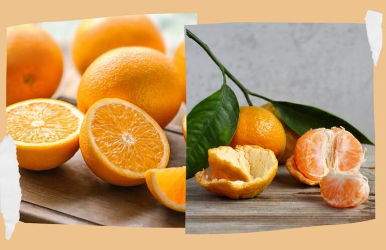 tangarines vs clementines